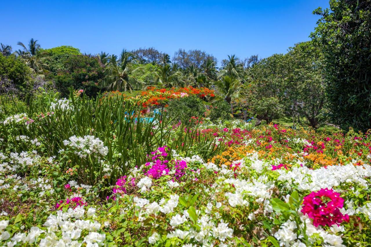 Diani Sea Resort Диани-Бич Экстерьер фото